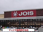【スーパー】ジョイス盛岡月が丘店まで800ｍ