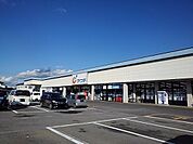 【ドラッグストア】カワチ薬品大田原南店まで2700ｍ