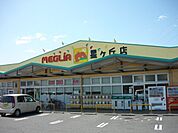 【スーパー】メグリアミニまで900ｍ