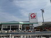 コメリまで350ｍ