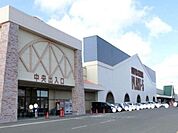 【スーパー】PLANT-5 大玉店まで600ｍ