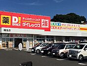 【スーパー】ダイレックスまで1100ｍ