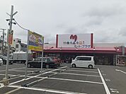 【スーパー】ブレイクミートプラザ高鷲店様まで366ｍ