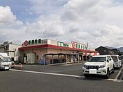 【スーパー】新鮮市場　大内店まで900ｍ