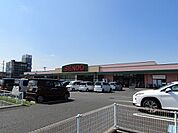 【スーパー】せんどう茂原店まで850ｍ