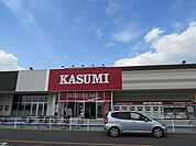 【スーパー】カスミライフガーデン茂原店まで1800ｍ