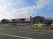 【スーパー】ベイシア茂原店まで1600ｍ