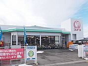 【ホームセンター】コメリハード&グリーン西郷店まで650ｍ