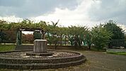 【公園】川口中央公園まで600ｍ