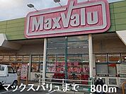 【スーパー】マックスバリュまで800ｍ