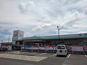 【ホームセンター】コメリ瀬戸田店まで550ｍ