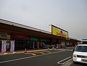 【スーパー】スーパーランドローム富津店まで1200ｍ