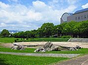 【公園】どんどんどんの森公園まで1400ｍ
