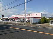 【ドラッグストア】ドラッグストアコスモス宮小路店まで1319ｍ