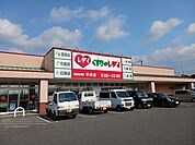 【ドラッグストア】くすりのレデイ平井店様まで500ｍ