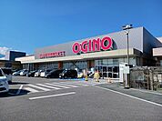 【スーパー】オギノ竜王駅前店まで1000ｍ