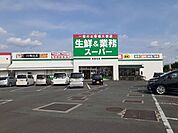 【スーパー】生鮮＆業務スーパー　筑後北店まで300ｍ