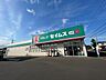 周辺：【ドラッグストア】ドラッグセイムス岩沼館下店まで300ｍ