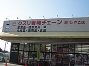 【ドラッグストア】くすりの岩？チェーンまで750ｍ