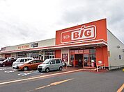 【スーパー】ザ・ビッグ本宮店まで900ｍ