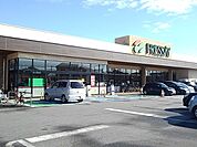 【スーパー】フレッセイ新町店まで1200ｍ