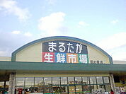 【スーパー】まるたか生鮮市場まで1100ｍ