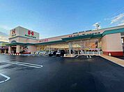 【スーパー】ハローズ防府新田店まで1100ｍ