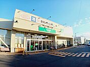 【スーパー】コープさっぽろ かじ店まで350ｍ