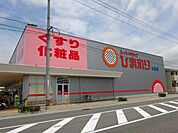 【ドラッグストア】スーパードラッグひまわり 本郷店まで552ｍ