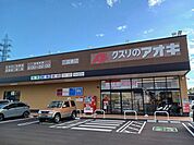 【ドラッグストア】クスリのアオキ三国東店まで289ｍ