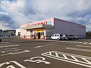 【ドラッグストア】ひまわり高須店まで1600ｍ