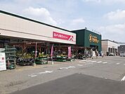 【ホームセンター】セキチュー前橋関根店まで1900ｍ