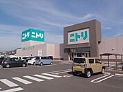 【ホームセンター】ニトリ丸亀店まで1200ｍ