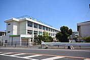【小学校】行橋市立　泉小学校まで350ｍ