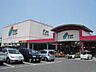 周辺：【ホームセンター】ナンバ鳥取店まで850ｍ