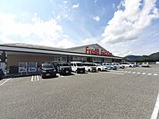 【スーパー】フレッシュ バザール篠山店様まで352ｍ