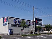 【ドラッグストア】クリエイトＳ・Ｄ 市原北国分寺まで350ｍ