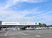【ホームセンター】ナフコ伊万里店まで1000ｍ