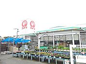 【ホームセンター】コメリハード＆グリーン津屋崎店まで2300ｍ