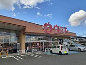 【スーパー】ウジエスーパー中里店まで550ｍ