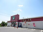 【ドラッグストア】金光薬品玉島勇崎店まで1500ｍ