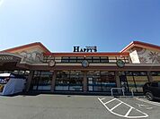 【スーパー】天満屋ハピーズ総社溝口店まで1000ｍ