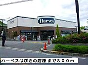 【スーパー】ハーベス羽曳野店様まで800ｍ