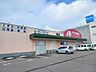 周辺：【ドラッグストア】クスリのアオキ　荒町店まで278ｍ