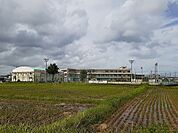 【小学校】新開小学校まで800ｍ