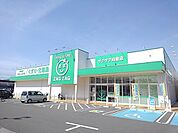 【ドラッグストア】ザグザグ向島店まで1500ｍ