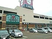 【スーパー】ウオロク長岡店まで550ｍ