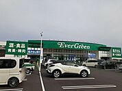 【ドラッグストア】エバグリーン様まで600ｍ
