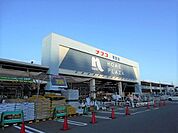 【ホームセンター】ホームプラザナフコ　茅野店まで900ｍ