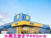 【ドラッグストア】薬王堂まで460ｍ